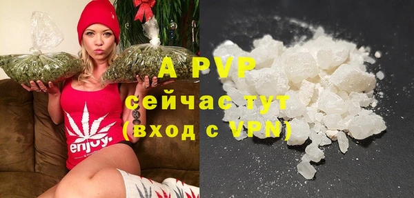 прущие крисы Белокуриха