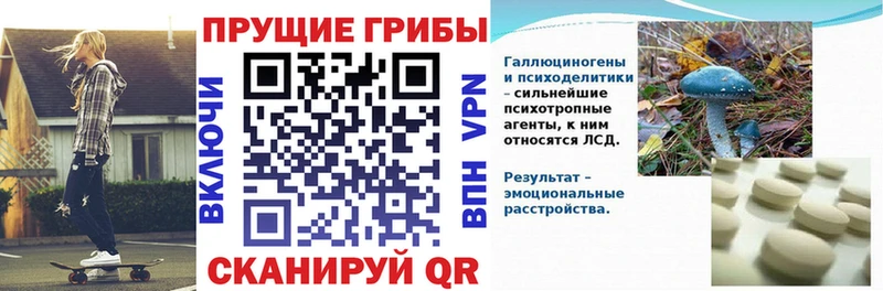 Псилоцибиновые грибы прущие грибы  Великие Луки 